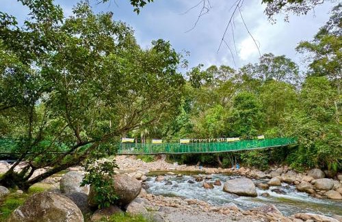 Tapah Other | Camp Site