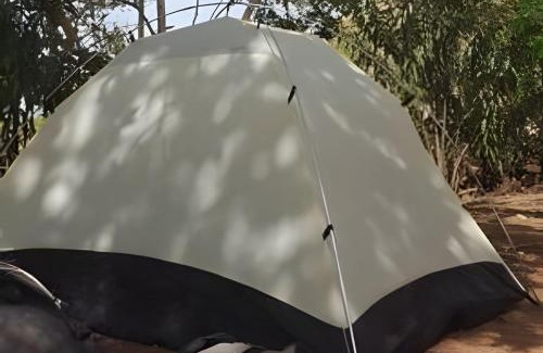 Ampimpa Other | Camping Agreste "El Algarrobo de Quilmes"