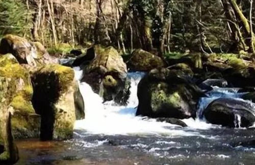 Correze House | Camping Au Bois De Calais *** - Mobilhome for 4 People
