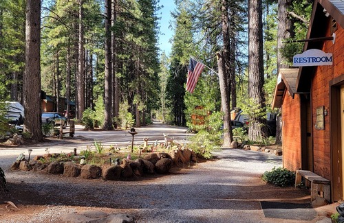 Shingletown Cabin | Camping Cabin B at Bigfoot Lodging Lassen NP
