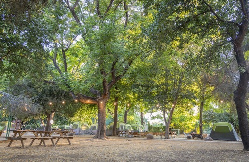 Dafna RV Rental | Camping Dafna - By Travel Hotel Chain