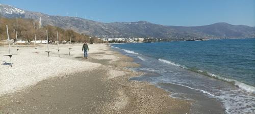 Karystos Other | Camping.Karystos Melodia