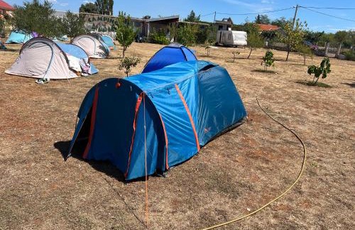 Zemunik Donji Other | CAMPING LASTE