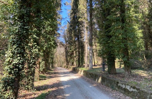 Cincelli Apartment | Campoleone 14 - Apartment on historical property near Arezzo, Tuscany