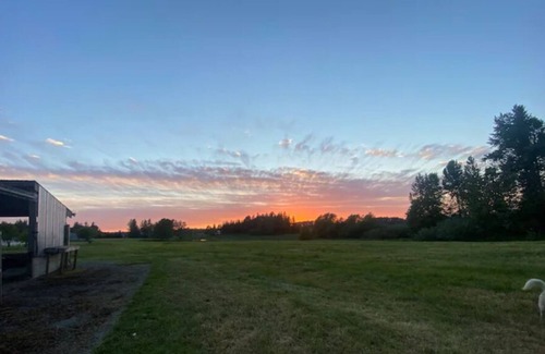 Ferndale RV Rental | CAMPSITE Ravens’ pad CAMPSITE at June Bud Farms