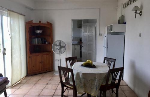 St. George's Apartment | Carenage View