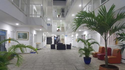 Punta Hansa Apartment | Caribbean Island Hotel Piso 2