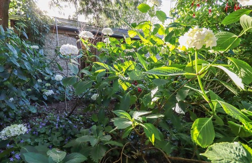 Luxulyan Cottage | Carminow Barn