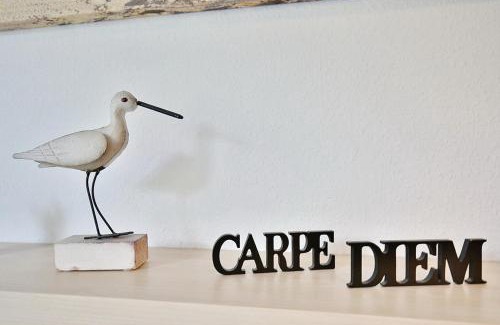 Niendorf/Ostsee Apartment | Carpe Diem Carpe Diem Appartement 088