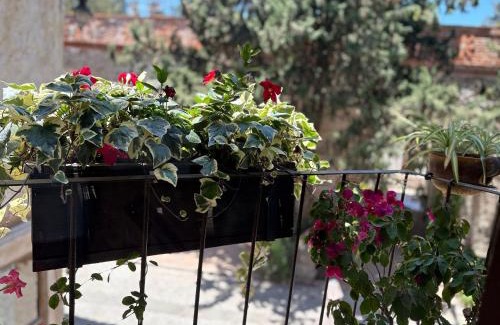 Santeagueda Apartment | Carrara: Armonía, Lujo y Confort en Val’Quirico