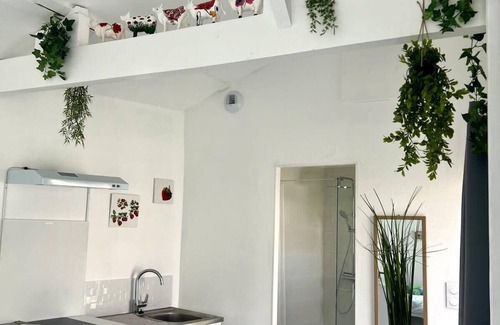 Brive-la-Gaillarde Apartment | Casa 4 Saisons - Studio à thème - Piscine/Jardin - Proche centre-ville