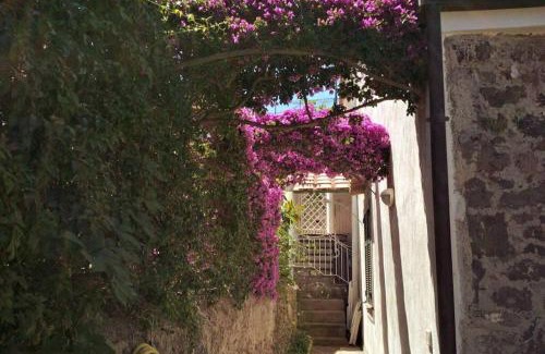 Ischia Porto Villa | Casa Alfonso, Ischia