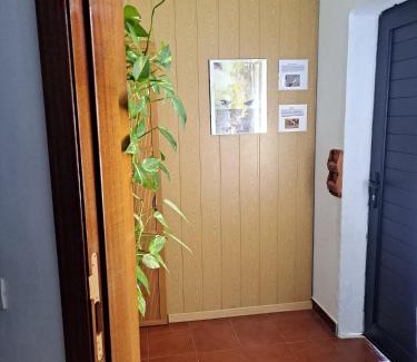 Arrecife House | Casa Amaia