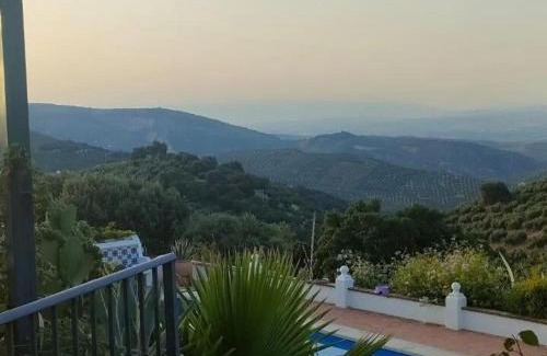 Loja House | Casa Araflo