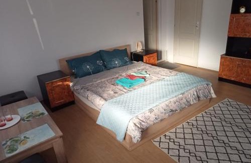 Ocna Mures Apartment | Casa Bea