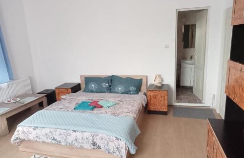 Ocna Mures Apartment | Casa Bea