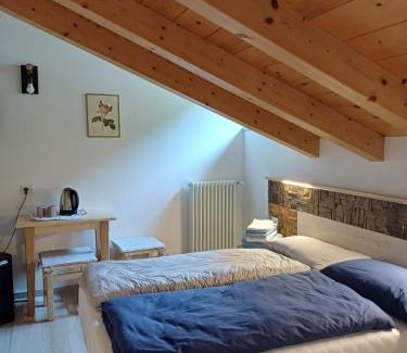 Pellizzano Apartment | Casa Bresadola - Pellizzano