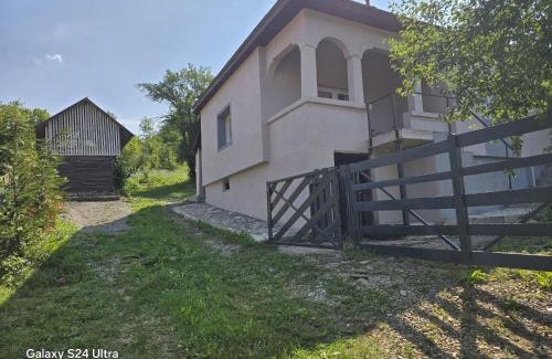 Visinesti House | Casa bunicilor- liniștea prispei, răcoarea beciului și aerul poianei