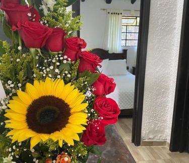 Boyaca Ski Chalet | Casa campestre villa de los santos