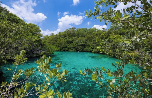 Campestre House | Casa Cenote Hotel - Cenote & Ocean Front Queen Room