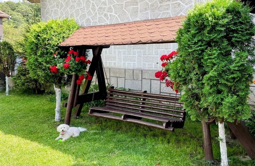 Moieciu Villa | Casa Cojanu