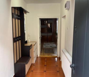 Toplita Apartment | Casa Crisan