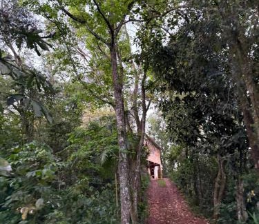 Foz do Iguacu Other | Casa da Árvore