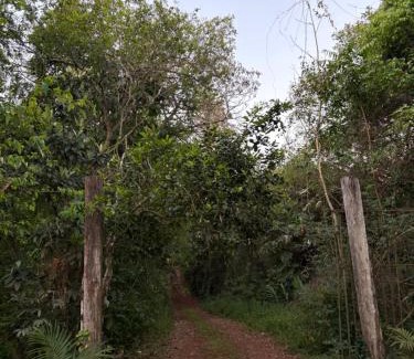 Foz do Iguacu Other | Casa da Árvore