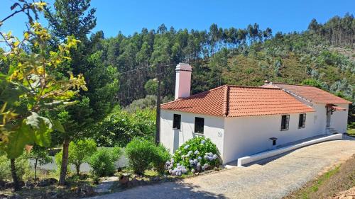 Figueiro dos Vinhos House | Casa da Milharica