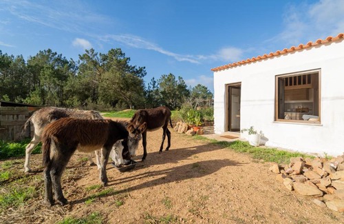 Abris Apartment | Casa da Paz