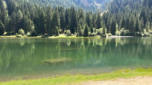 Commezzadura House | Casa Daolasa Val di Sole Trentino