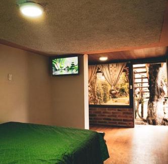 San Pablo del Lago House | Casa de Mariano