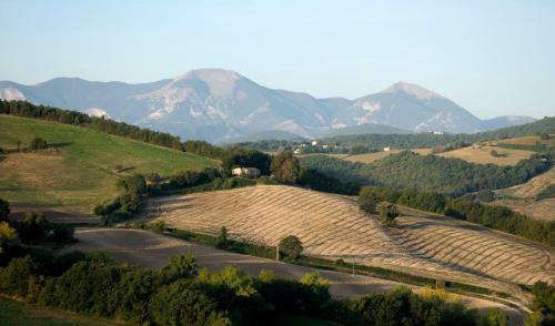 Arcevia Apartment | Casa dei Sogni d'Oro