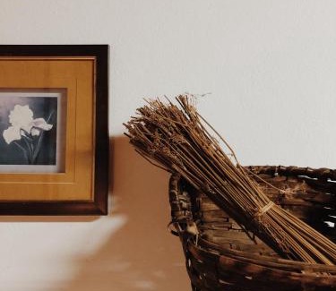 Bomfim House | Casa do Douro
