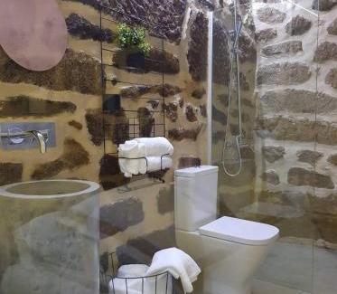 Mondim de Basto House | Casa do Doutor Palheiro