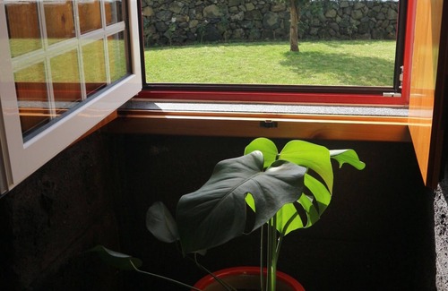 Angra do Heroismo Apartment | Casa do Poço - Little house, located in the heart of a calm and rural village.