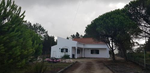 Caldas da Rainha House | Casa dos Morgados