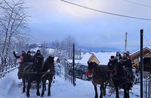 Bran House | Casa Drumul dintre Munti