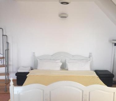 Tirgu Mures Apartment | Casa Flavia