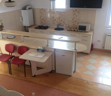 Tirgu Mures Apartment | Casa Flavia