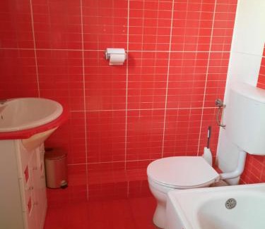 Tirgu Mures Apartment | Casa Flavia