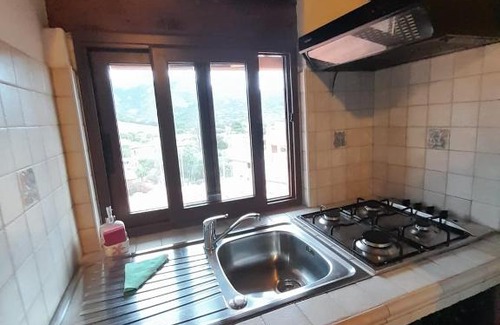 Solanas House | Casa Frida
