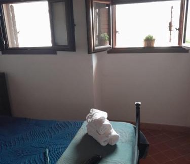 Solanas House | Casa Frida