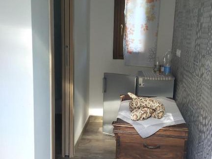 Asciano Pisano House | Casa Gaia