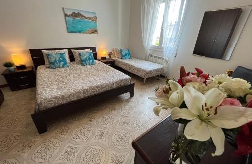 Pivarada House | Casa Hana