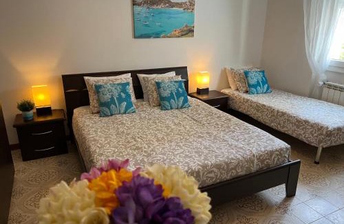 Pivarada House | Casa Hana