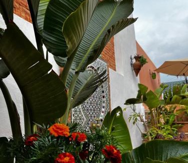 Medina of Rabat House | Casa Indigo