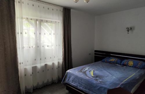 Horezu House | Casa Irina