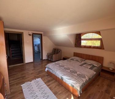Bistrita Bargaului House | Casa Iris Colibita
