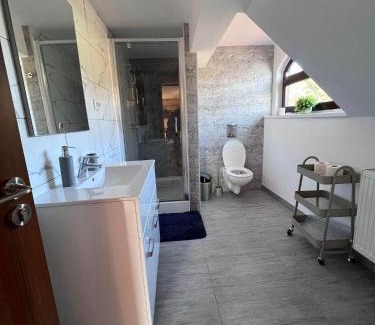 Bistrita Bargaului House | Casa Iris Colibita